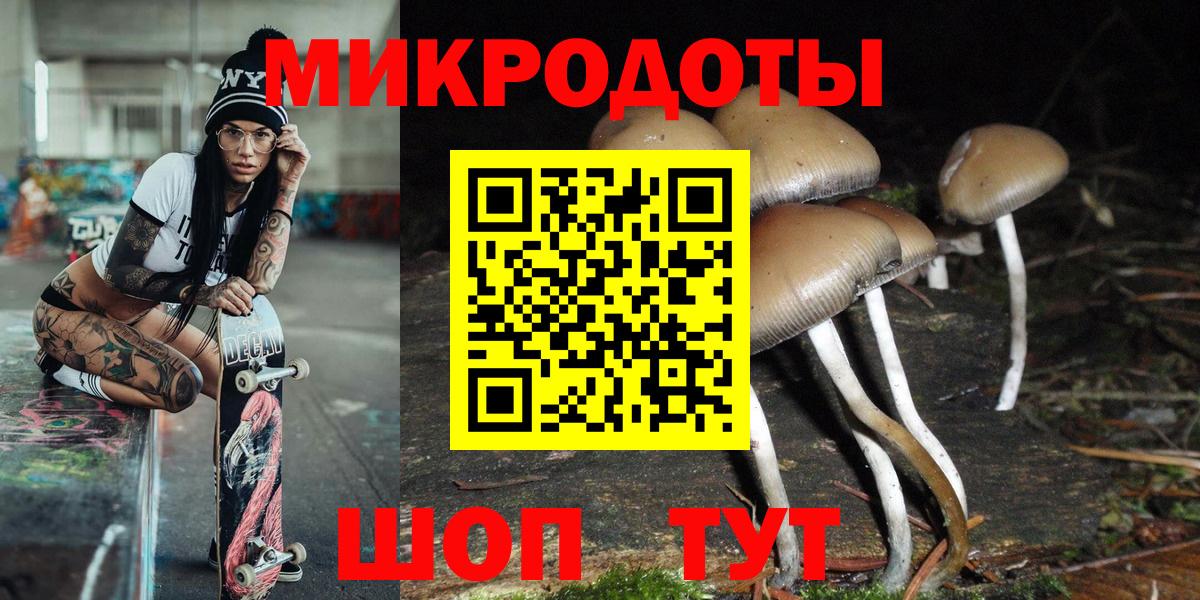 Галлюциногенные грибы Cubensis  Вход с VPN  Луга 